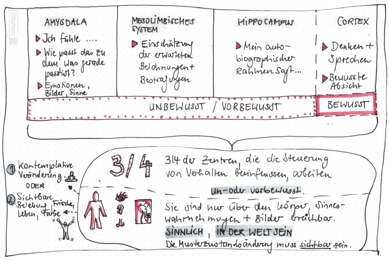 Verhaltensänderung durch Coaching?