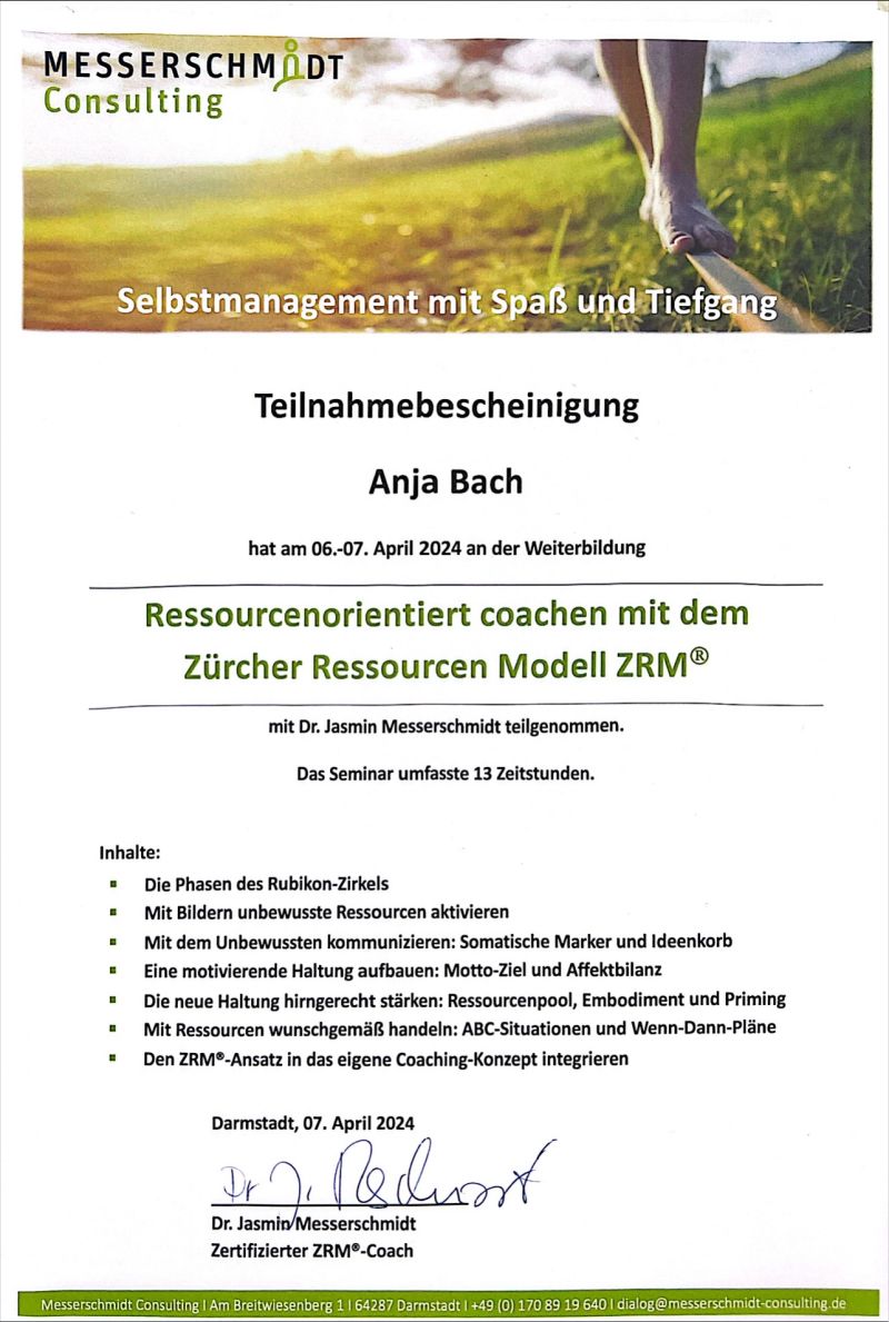 Das Zürcher Ressourcenmodell (ZRM) im Coaching